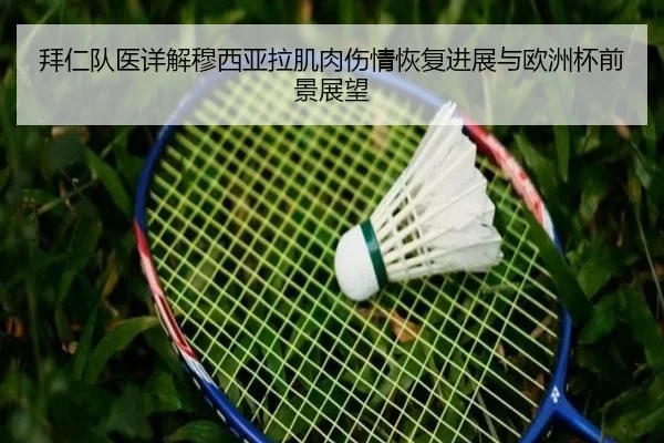 拜仁队医详解穆西亚拉肌肉伤情恢复进展与欧洲杯前景展望